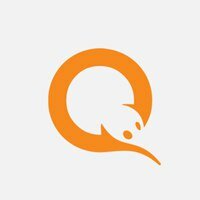 Qiwi